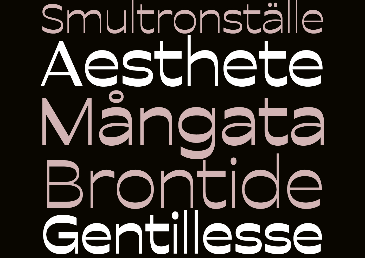 visuel de la typographie lunastral